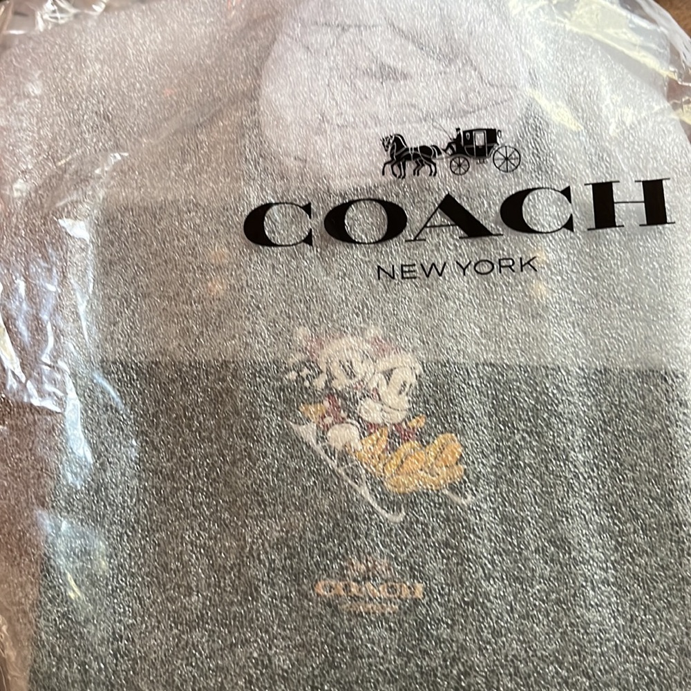 🛷 DISNEY X COACH DEMPSEY TOTE 22  AND CORNER ZIP WRISTLET WITH SLED MOTIF 🛷 - Picture 8 of 16